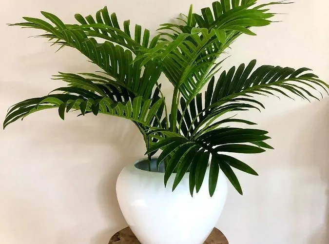 Daire Gardenhouse 'the Block' - - Private Garden - Ir - Ac *